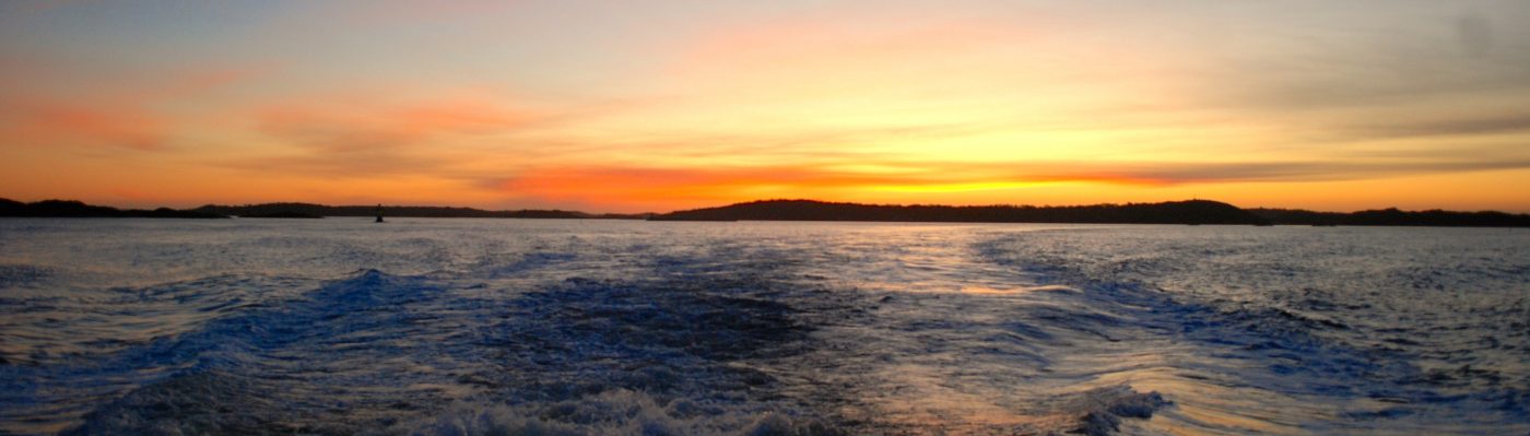 Reconnecting with my Origins